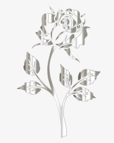 Plant,flora,rose Order - Rose Gold Transparent Background, HD Png Download, Transparent PNG