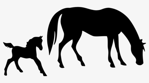 Free Mare And Foal Horse Clipart - Horse And Foal Silhouette, HD Png Download, Transparent PNG