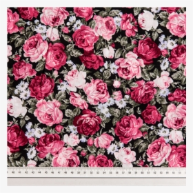 Cotton Poplin Printed Roses Dusty Pink/black - Hybrid Tea Rose, HD Png Download, Transparent PNG