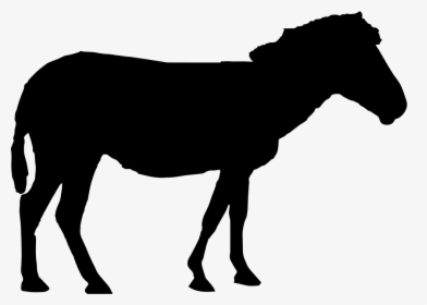 Horse Silhouette Comments - Horse Standing Silhouette, HD Png Download, Transparent PNG