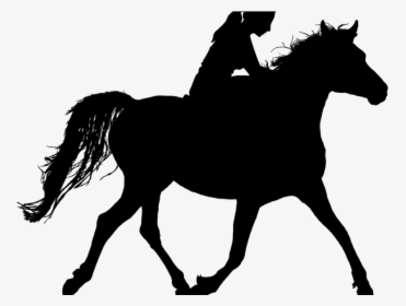 Horse, Riding, Silhouette, Ride, Stallion, Woman, Rider, - Girl Riding Horse Silhouette, HD Png Download, Transparent PNG