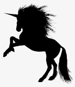 Animal, Equine, Rearing, Horse, Silhouette, Ride - Rearing Unicorn Clipart, HD Png Download, Transparent PNG