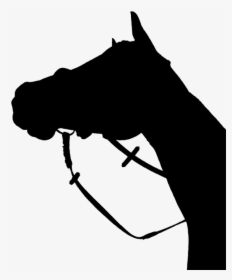 Horse, Silhouette, Black - Horse Head Silhouette Png, Transparent Png, Transparent PNG
