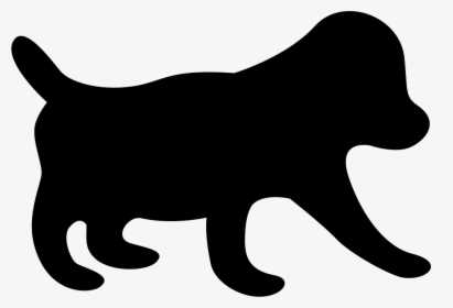 Dog And Cat png download - 768*768 - Free Transparent Cat png Download. -  CleanPNG / KissPNG