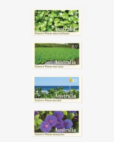 Postage Stamp Design Byron Bay Graphic Designs Loretta - Blue Violet, HD Png Download, Transparent PNG