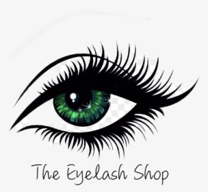 Cartoon Eye With Eyelashes, HD Png Download, Transparent PNG