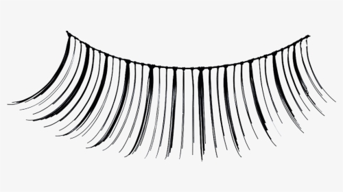 Pre-glued False Eyelashes - Wimpern Png, Transparent Png, Transparent PNG