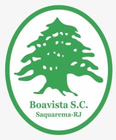 Brasao Do Boavista Rj, HD Png Download, Transparent PNG