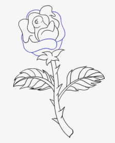 How To Draw Rose With A Stem - Draw A Rose With Stem, HD Png Download, Transparent PNG