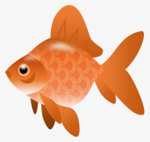 Fish Clip Art - Fish Clipart No Background, HD Png Download, Transparent PNG