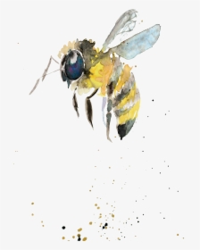 Bumblebee Watercolor Painting Drawing Insect Watercolor - Watercolor Bumble Bee Png, Transparent Png, Transparent PNG