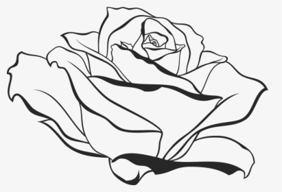 Side View Of Blooming - Rose Drawing Side View, HD Png Download, Transparent PNG