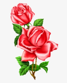 Red Rose Pencil Draw, HD Png Download, Transparent PNG
