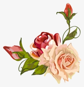 Clip Art Rose Petal Drawings - Garden Roses Drawing, HD Png Download, Transparent PNG