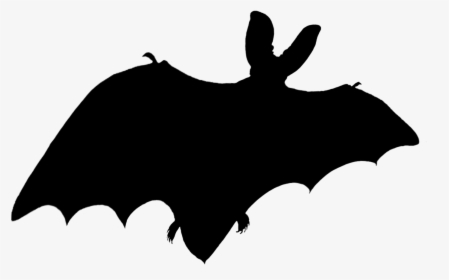 Bat Shadow - Bat Shadow Png, Transparent Png, Transparent PNG