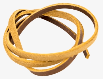 Circle, HD Png Download, Transparent PNG