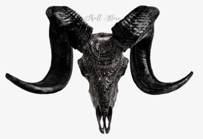 Dark Buffalo Skull, HD Png Download, Transparent PNG
