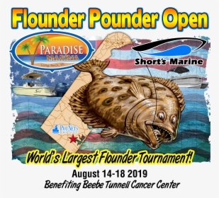 Flounder Pounder Open - Paradise Grill Flounder Pounder 2019, HD Png Download, Transparent PNG