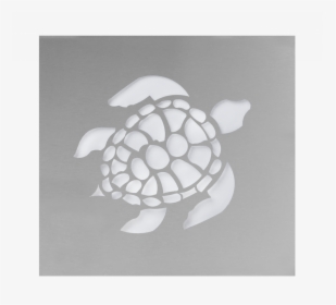 Green Sea Turtle, HD Png Download, Transparent PNG
