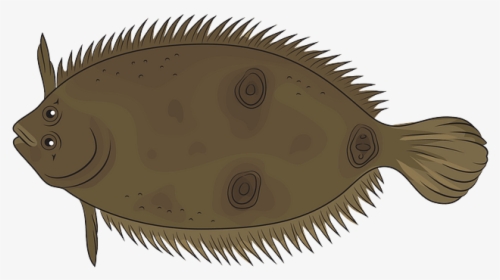 Sole, HD Png Download, Transparent PNG