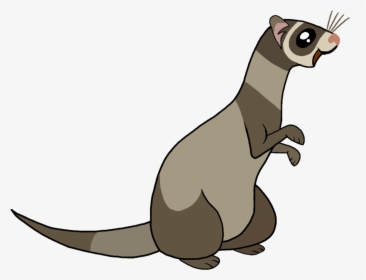 My Little Pony Ferret, HD Png Download, Transparent PNG