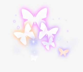 Night, HD Png Download, Transparent PNG