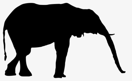 Transparent Elephants Clipart - Elephant Silhouette Hd Png, Png Download, Transparent PNG