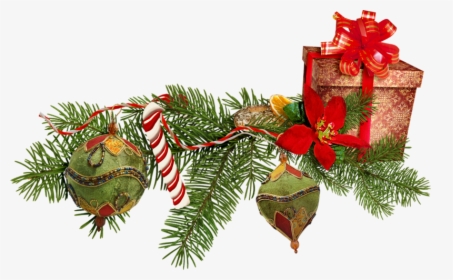 Border Design, Tree Toppers, Christmas Centrepieces, - Karácsonyi Fenyőág, HD Png Download, Transparent PNG