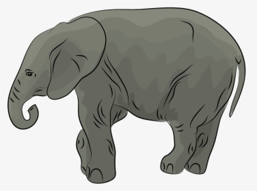 Baby African Elephant Clipart - Elephant Clipart, HD Png Download, Transparent PNG