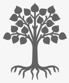 Plant, Silhouette, Grey, Tree, Leaves, Wood, Roots - Child Care, HD Png Download, Transparent PNG