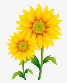 Common Sunflower Clip Art - Transparent Background Sunflower Clipart, HD Png Download, Transparent PNG