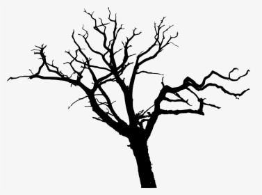 Bare Tree Silhouette Png, Transparent Png, Transparent PNG