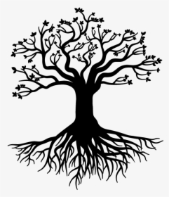 Root Tree Stock Photography Gratis - Large Tree With Roots, HD Png Download, Transparent PNG