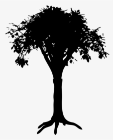 Photography - Tree Drawing Silhouette, HD Png Download, Transparent PNG