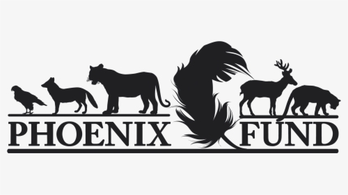 Transparent Fire Phoenix Png - Phoenix Fund Logo, Png Download, Transparent PNG