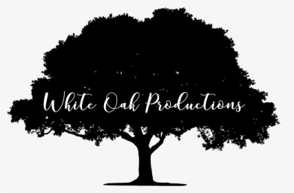 Black And White Oak Tree Transparent - Tree Vector Png Black, Png Download, Transparent PNG