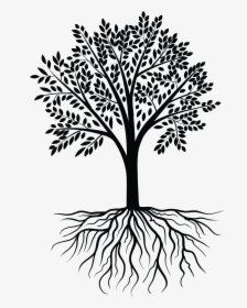 Tree Roots Vector Png, Transparent Png, Transparent PNG