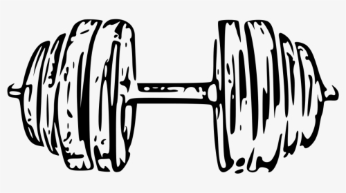 Collection Of Free Dumbbell Drawing Download On Ui - White Dumbbell Png, Transparent Png, Transparent PNG