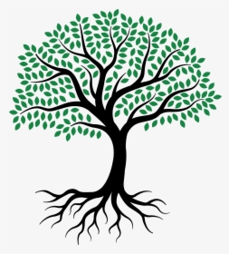 Drawing Root Tree Sketch - Simple Olive Tree Drawing, HD Png Download, Transparent PNG