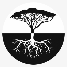 Most Popular Tree In Africa, HD Png Download, Transparent PNG