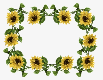 Clipart Sunflower, HD Png Download, Transparent PNG