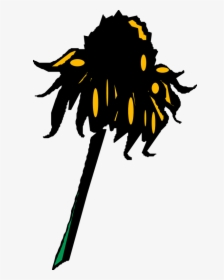 Sunflower Wilted Petal - Wilted Sunflower Png, Transparent Png, Transparent PNG