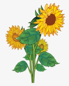 Marigold Cliparts Cute - Free Sunflower Clip Art, HD Png Download, Transparent PNG