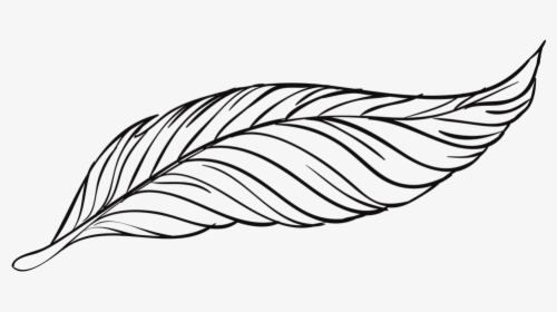 Pen, Feathers, Bird, Animal, Beautiful, Peacock - Feather Black And White Drawings, HD Png Download, Transparent PNG
