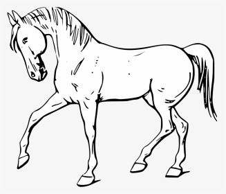 Walking Horse Outline Svg Clip Arts - Horse In Black And White, HD Png Download, Transparent PNG