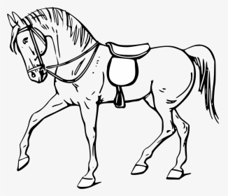 Free Vector Walking Horse Outline Clip Art - Outline Pictures Of Horse, HD Png Download, Transparent PNG