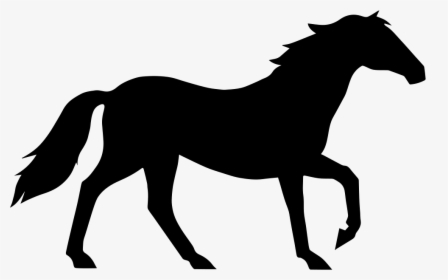 Transparent Horse Clipart Outline - Horse In Black And White, HD Png Download, Transparent PNG