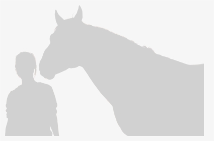 Horse Outline - Stallion, HD Png Download, Transparent PNG