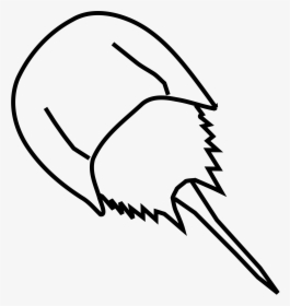 Horse Shoe Horseshoe Crab Clipart Png - Drawing Of A Horseshoe Crab, Transparent Png, Transparent PNG