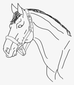 #freetoedit #horse #ftestickers #remixit #horseart - Mane, HD Png Download, Transparent PNG